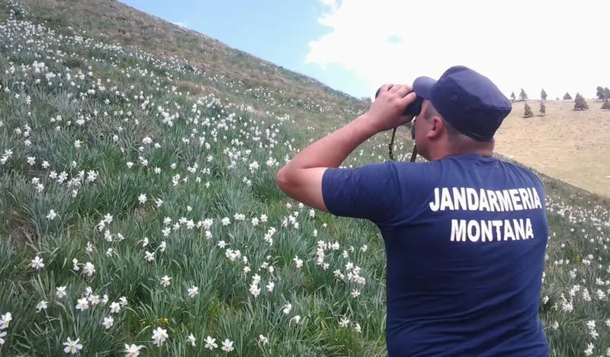 Jandarmii montani care caută planorul dispărut au găsit 50 de mine antipersonal
