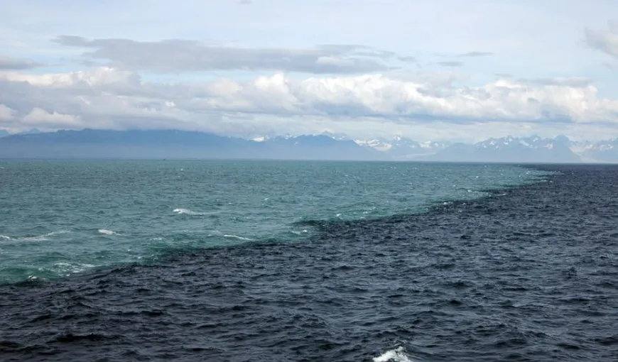 VIDEO UIMITOR. Două oceane se întâlnesc în mijlocul Golfului Alaska, dar nu se amestecă