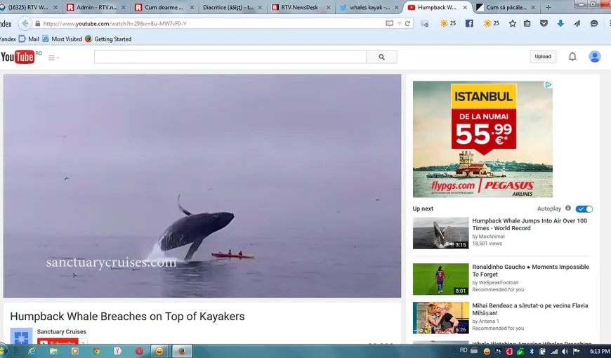 Imagini de groază. O balenă de 36 de tone se prăbuşeşte peste doi tineri aflaţi într-un caiac VIDEO