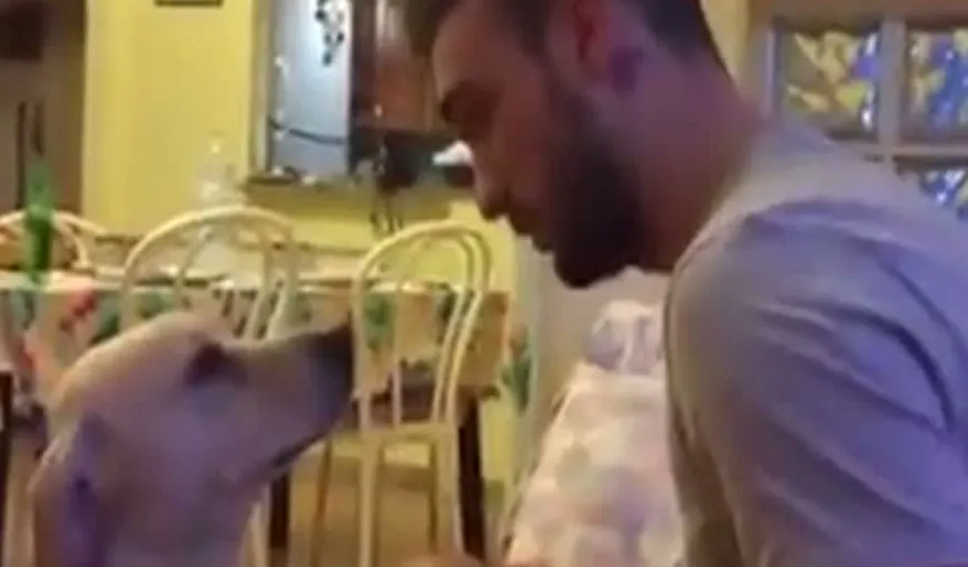 Un câine îşi cere iertare stăpânului său VIDEO