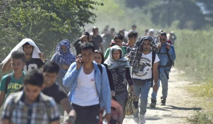 CNCD, apel la un limbaj şi un comportament nediscriminatorii privind criza refugiaţilor