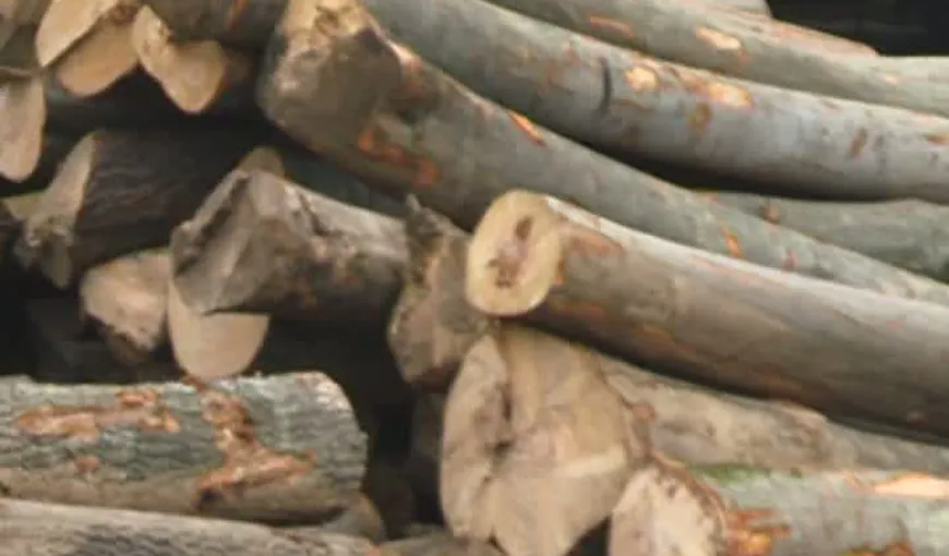 Un copil de patru ani a murit după ce o stivă de lemne s-a prăbuşit peste el