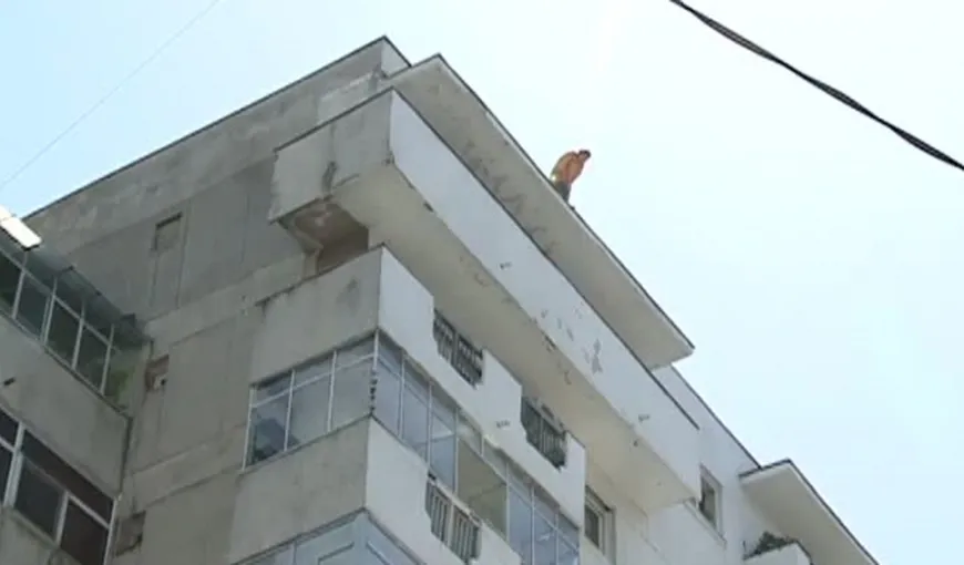 Tragedie în Arad: S-a aruncat de la etajul al 10-lea după o dispută familială