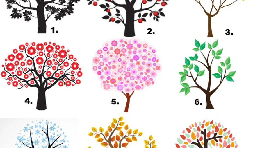 Testul copacului: Află ce spune despre tine imaginea pe care o alegi
