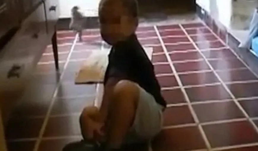 O mămică a înregistrat o CREATURĂ DIN ALTĂ LUME, în timp ce-şi filma copilul prin bucătărie VIDEO