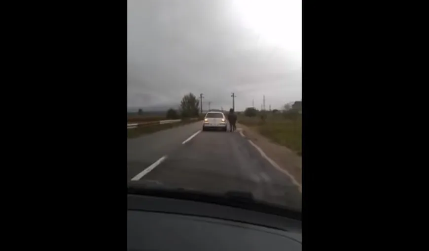 Imagini ŞOCANTE în România. Un şofer a LEGAT un cal de maşină VIDEO