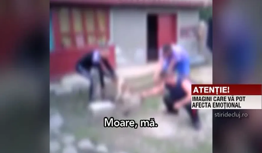 Imagini ŞOCANTE postate pe Facebook. Trei bărbaţi din Brăila taie coada unui câine cu toporul VIDEO