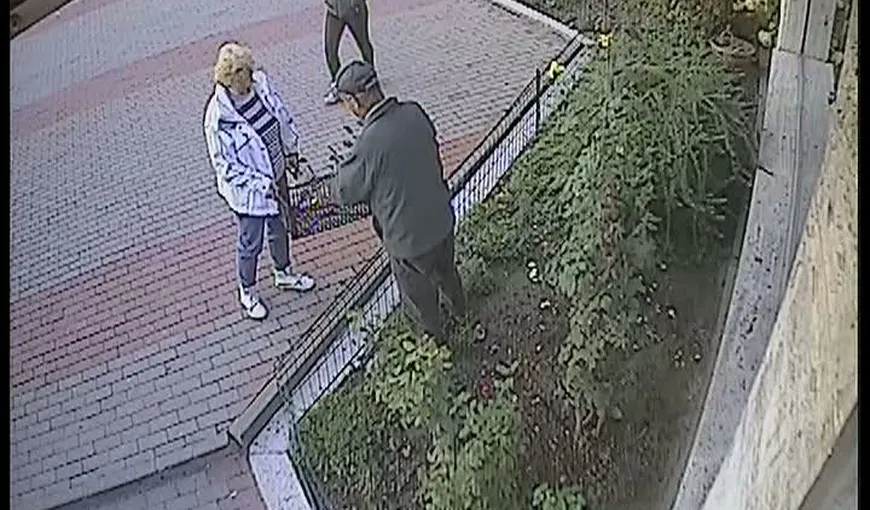 Culmea tupeului! Doi hoţi, surprinşi în timp ce furau trandafiri cu lada VIDEO