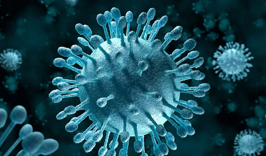 Virusul hepatic de tip C, „alungat” din organism în mai puţin de 3 luni