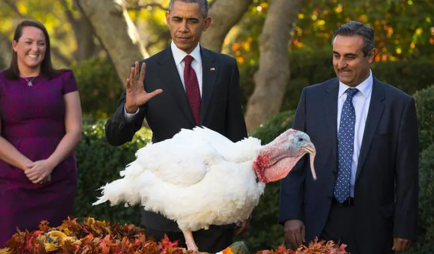 Obama a graţiat oficial doi curcani, în ajun de Ziua Recunoştinţei