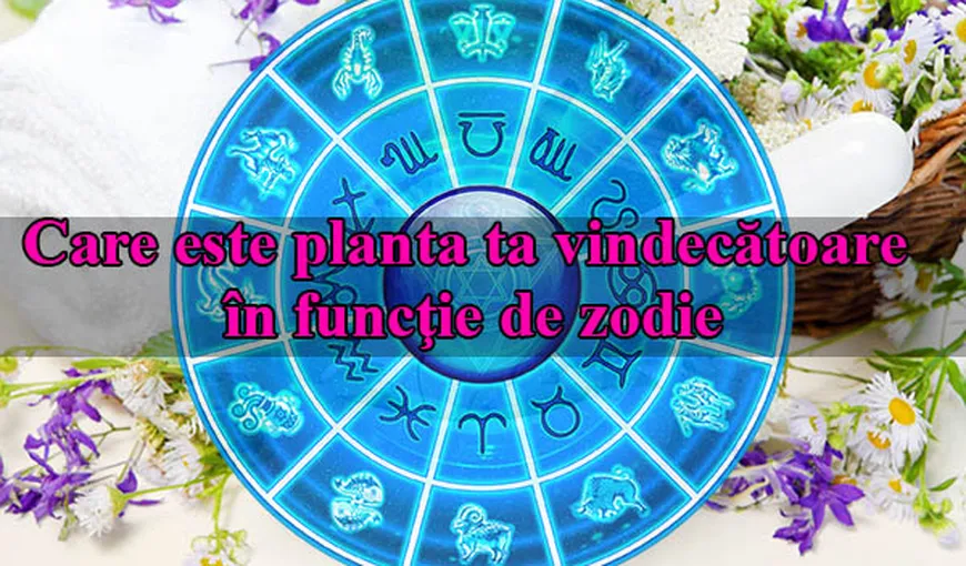 Horoscop: Care este planta ta vindecătoare în funcţie de zodie