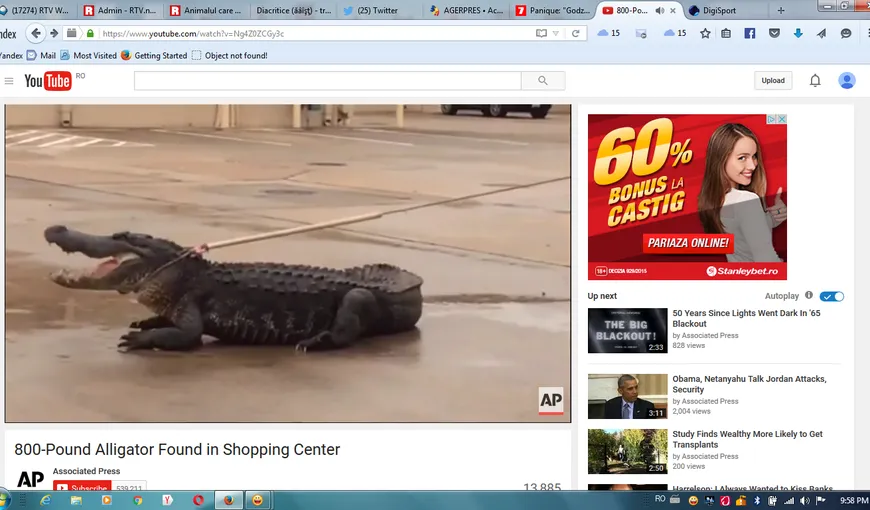 Panică, un crocodil la mall. Cum s-au luptat oamenii cu reptila de 360 kg VIDEO