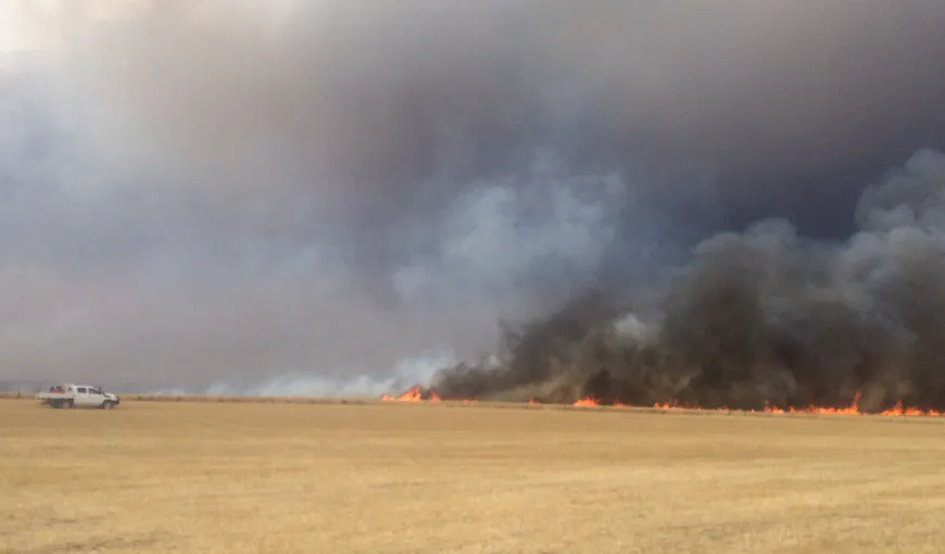 Incendii de vegetaţie devastatoare în Australia VIDEO