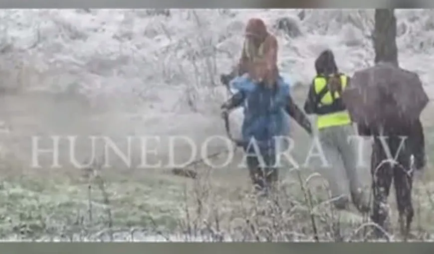Culmea hărniciei la Deva. Angajaţii Primăriei taie iarba pe ninsoare VIDEO