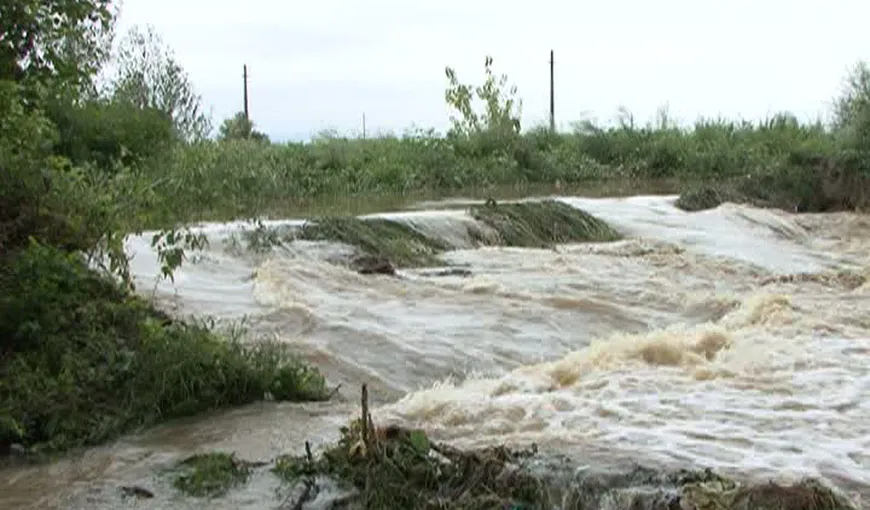 ANM: Riscul de inundaţii rapide va creşte în zona montană din România, din cauza tăierilor de păduri