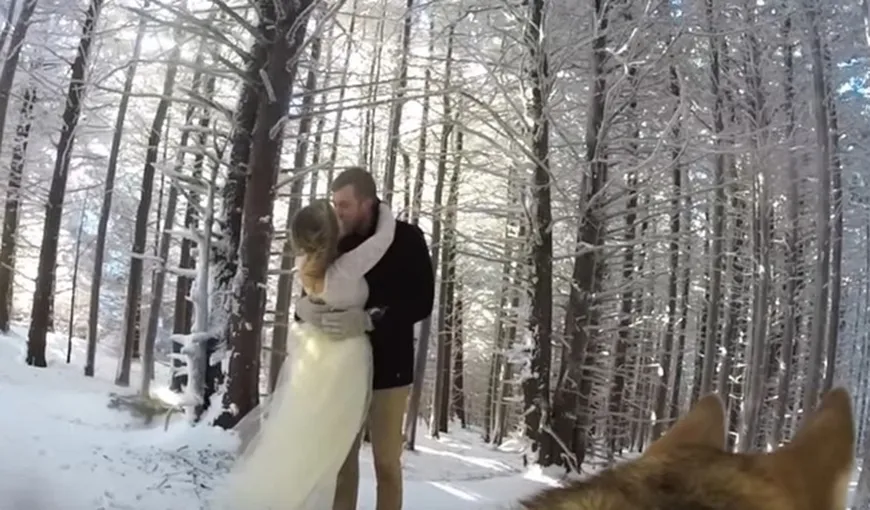 Un câine a filmat integral nunta stăpânilor săi. Clipul face ravagii pe Youtube VIDEO