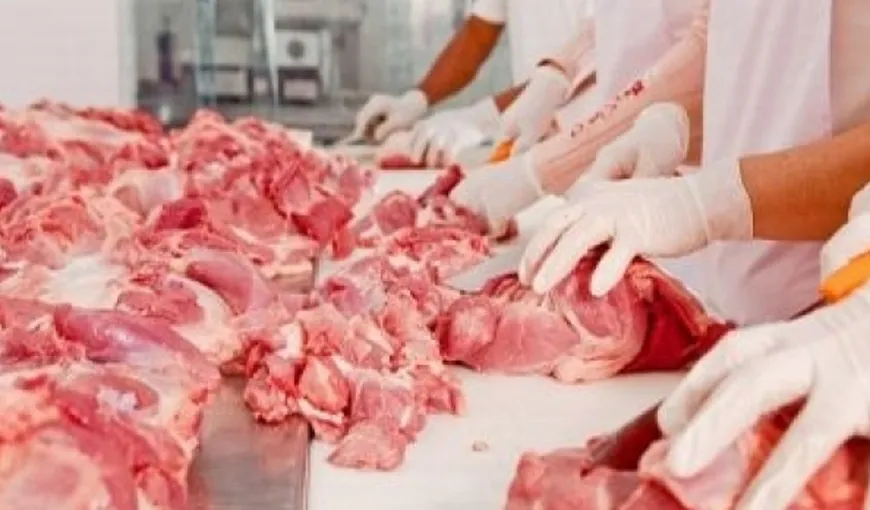Anchetă în Polonia după exportarea a aproape trei tone de carne de vită bolnavă în zece ţări din UE, inclusiv în România