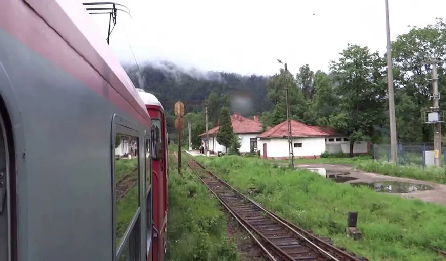 Circulaţie feroviară întreruptă în Harghita, după ce un brad a căzut peste linia de tensiune