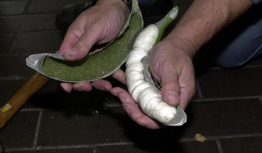 Poliția poloneză a descoperit 178 kg de cocaină într-un transport de banane