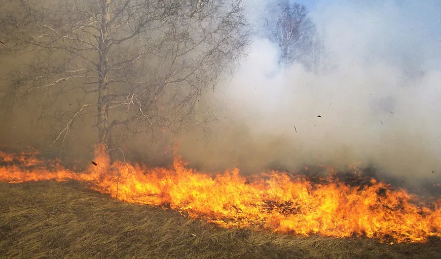 Peste 130 de INCENDII de pădure au izbucnit în Spania. Sute de pompieri şi militari acţionează