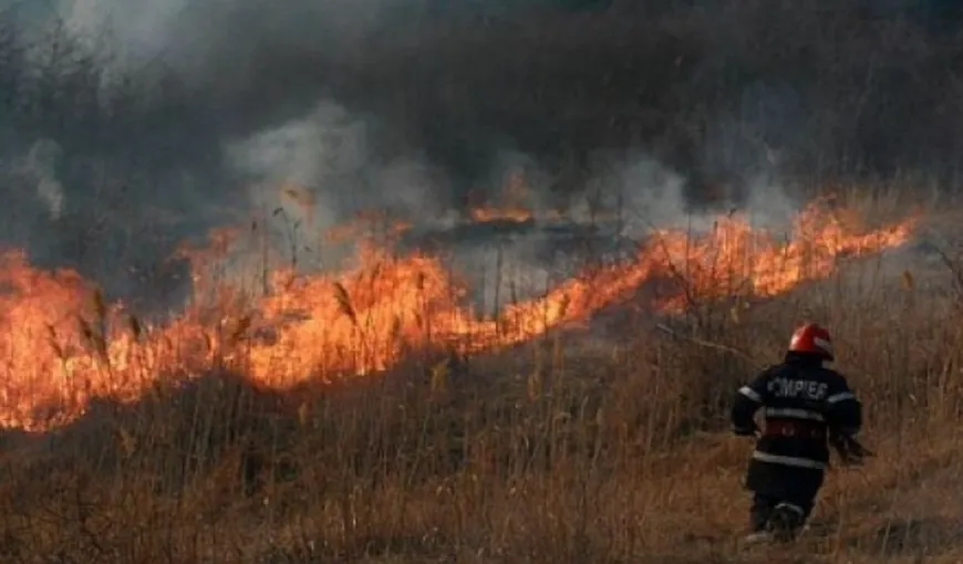 Incendiul de pădure din Buzău a fost STINS după 12 ore