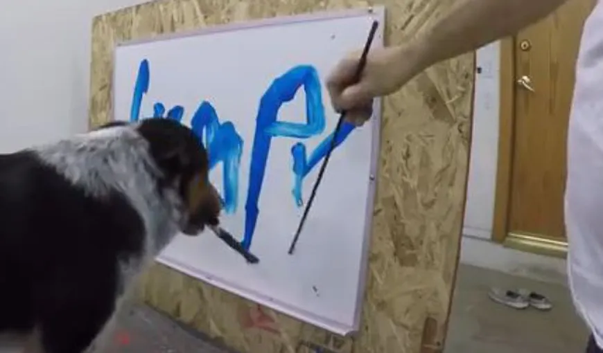 Câinele care poate da autografe. Jumpy, patrupedul care îşi scrie singur numele VIDEO
