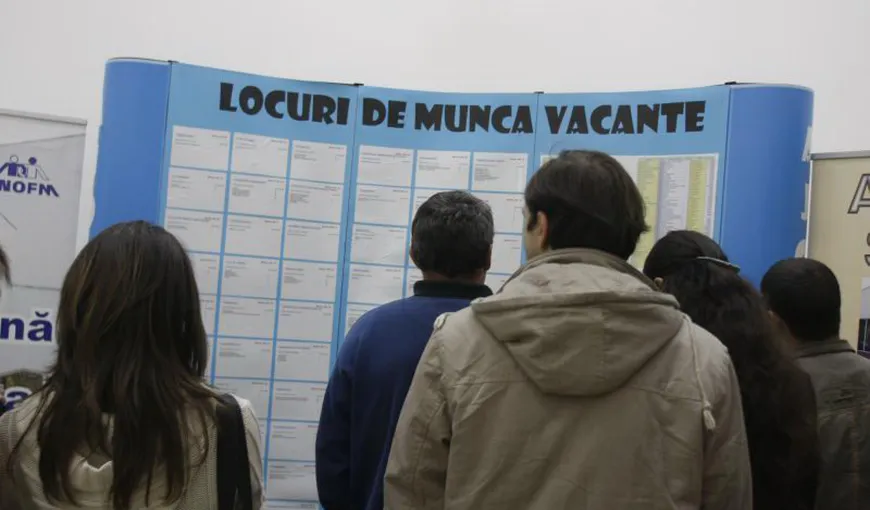 Oferta de muncă în România, plătită cu salarii de la 2.000 lei la 5.000 lei lunar