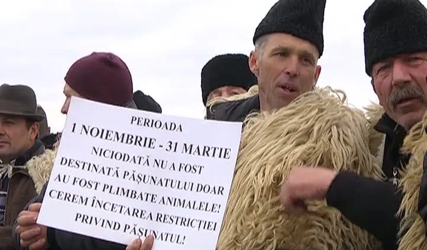 Ciobanii reiau protestele dacă Legea vânătorii nu va fi modificată până în februarie 2016