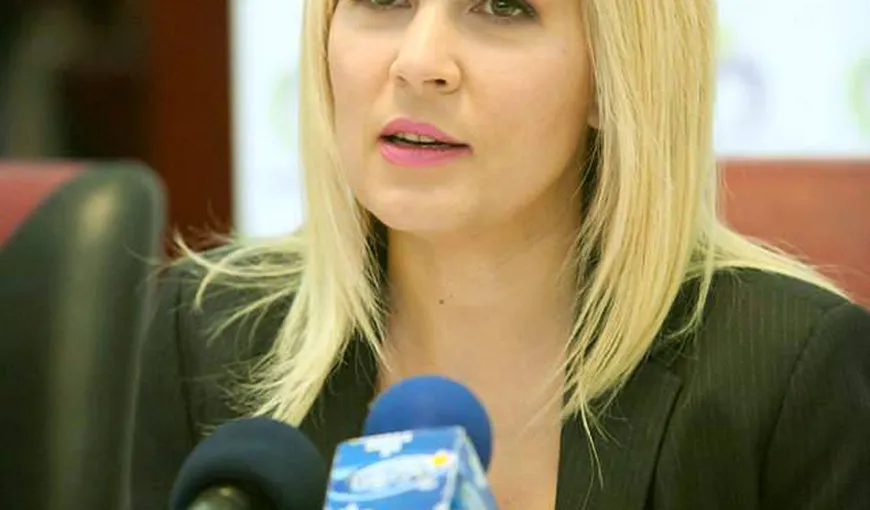 Elena Udrea îşi asumă o parte din vină pentru adoptarea cu greşeli a codurilor penale