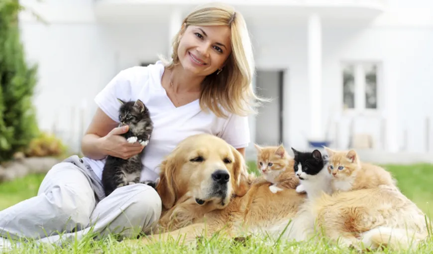 De ce sunt deţinătorii de pisici mai deştepţi decât cei care au câini