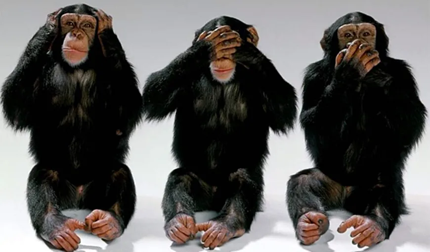 Oamenii de ştiinţă chinezi au creat maimuţe „autiste” pentru testarea tratamentelor pentru oameni