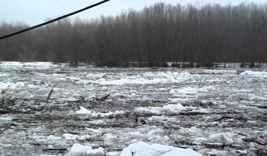 Alertă în Neamţ din cauza unor sloiuri de gheaţă de pe râul Bistriţa