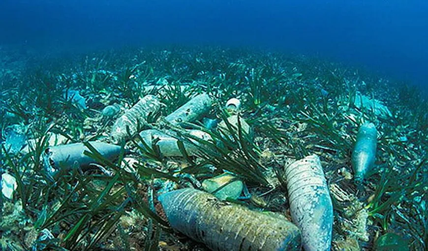 În 2050, în oceane va exista o cantitate mai mare de plastic decât de peşte