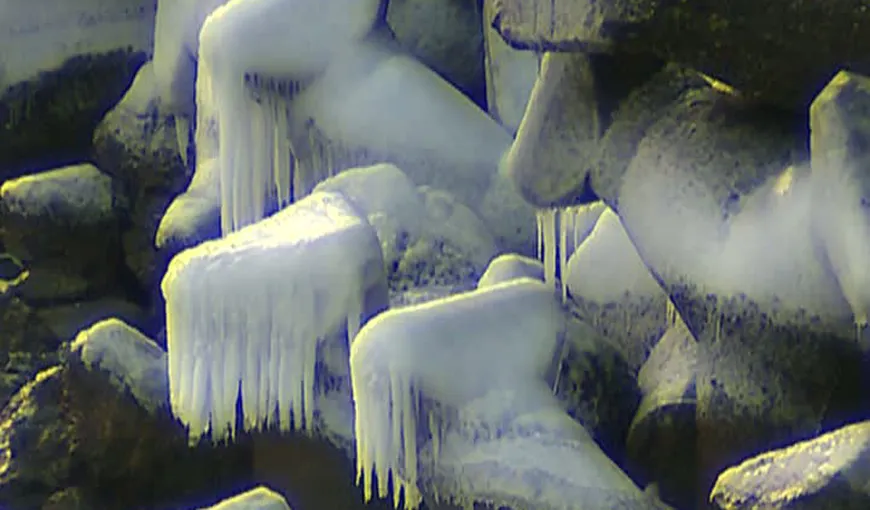 Imagini SPECTACULOASE la malul mării. Stabilopozii au îmbrăcat haine de gheaţă VIDEO