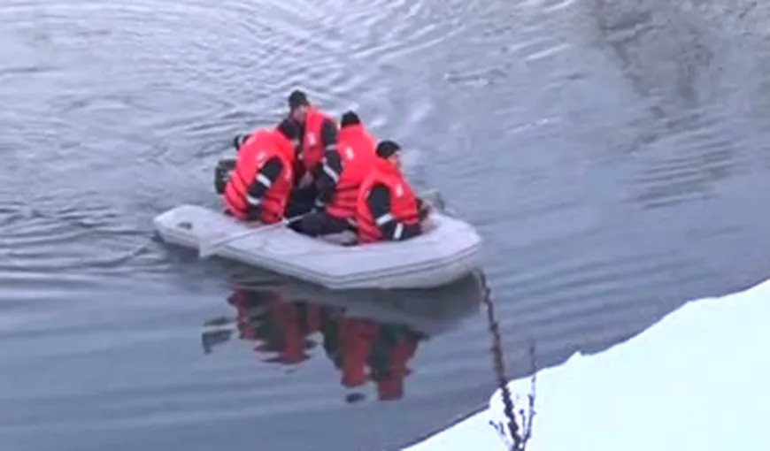 Trei viţei au căzut în apa îngheţată a unui baraj din Argeş. Cum au fost salvaţi VIDEO