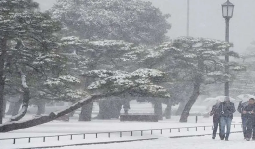 Iarnă grea în Japonia. Peste 100 de victime, 140 de zboruri anulate şi întârzieri mari la trenuri
