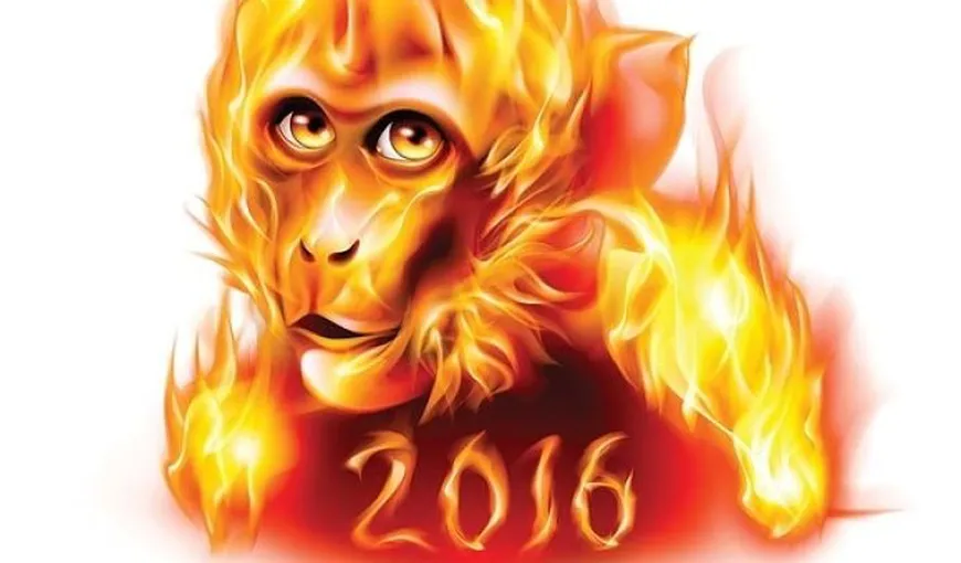 Horoscop chinezesc 2016. Cum evoluezi în carieră în anul Maimuţei de Foc