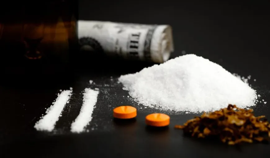 Mai multe tipuri de droguri periculoase, descoperite într-un club din Tulcea