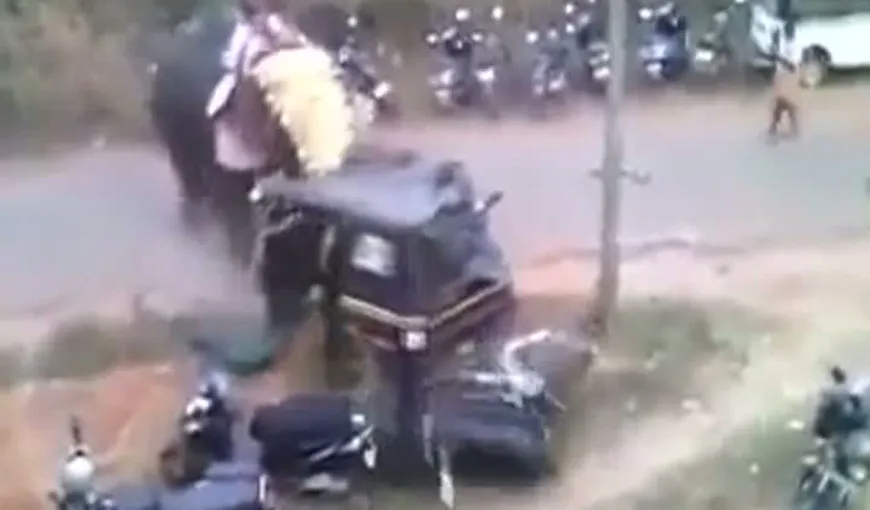 Un elefant furios a distrus mai multe vehicule în timpul unei sărbători religioase în India VIDEO