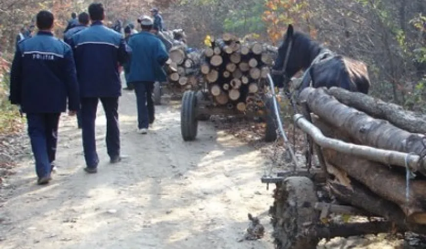 Faci bine şi găseşti rău: Bărbat din Argeş, agresat de hoţii de lemne şi AMENDAT de poliţie VIDEO