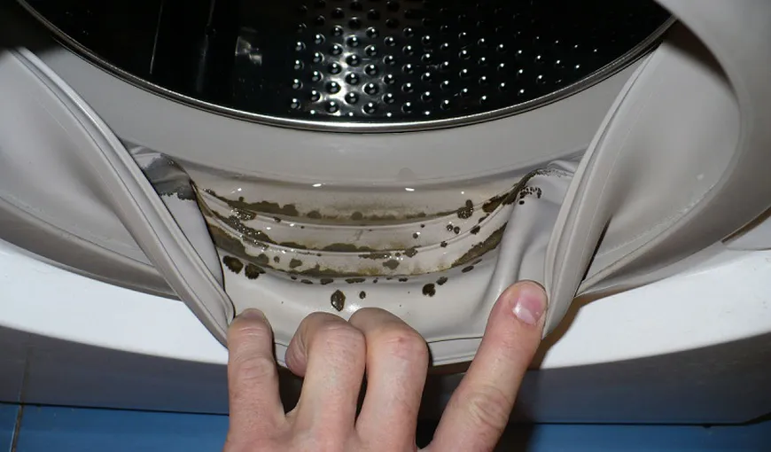 Cum scapi de mucegaiul şi mirosurile neplăcute din maşina de spălat