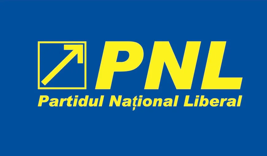 PNL: Premierul se derobează de responsabilitatea asumării alegerilor în două tururi