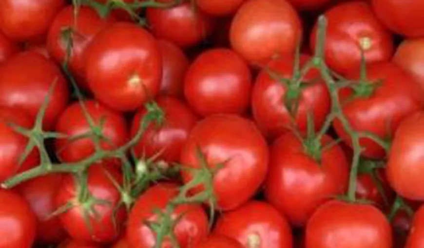 ALERTĂ alimentară: 20 de tone de roşii, contaminate cu pesticide, retrase de pe piaţă
