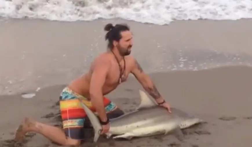 Selfie extrem! Un bărbat a scos un rechin din apă să facă poze cu el