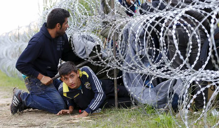 Trei sirieni au fost prinşi la Arad, când încercau să treacă ilegal graniţa în Ungaria
