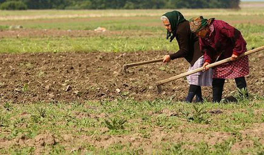 Guvernul a aprobat măsuri financiare pentru susţinerea agricultorilor