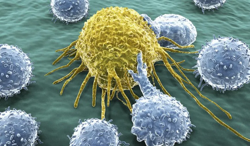Oamenii de ştiinţă sunt pe punctul de a dezvolta un nou tratament împotriva cancerului