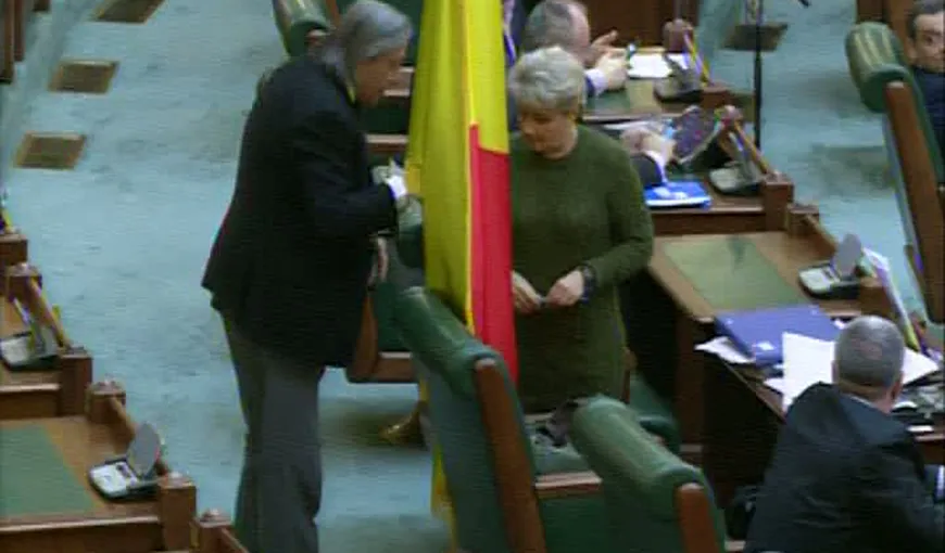 Imagini ULUITOARE în Parlament! Coafura senatoarei „greviste” Cristiana Anghel a rezistat unei lovituri de steag Video