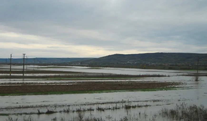 COD PORTOCALIU de inundaţii pe Dunăre