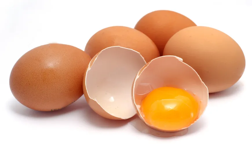 Lucruri neştiute despre ouă